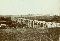 Acueducto de Algeciras en 1908 (Algeciras)